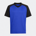 Camiseta Alternativa 26